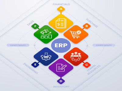 Enterprise Resource Planning (ERP)